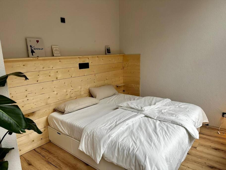 Kleiner Saal Im Villenviertel إيزيناخ المظهر الخارجي الصورة